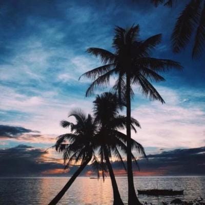 Paeng Nepomuceno avatar