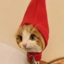 Samantha Ferrer avatar